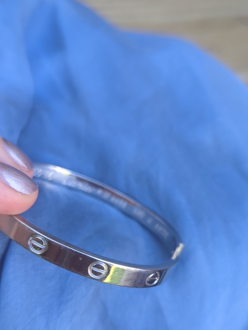 Carrier Love Stainless Steel Bangle Bracelet